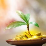Qué es la banca ética: todo lo que debes saber